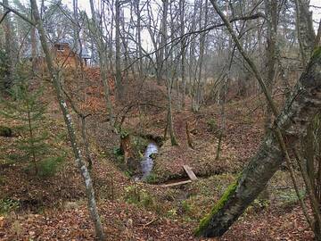 Фото номера Дом для отпуска Дома для отпуска "Gaujmale" sauna house in nature г. Iļķene 69